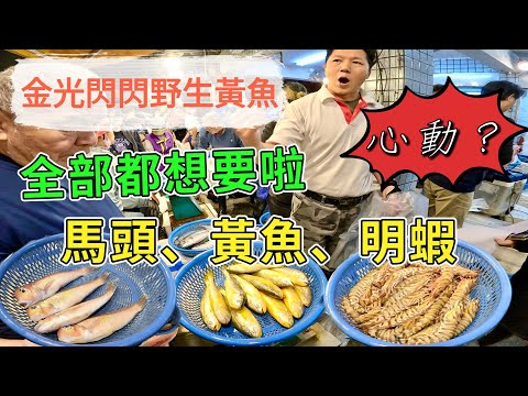 基隆崁仔頂～金光閃閃野生黃魚～你心動了嗎？心動不如馬上行動～明蝦、馬頭魚、黃魚、盤仔魚～深夜糶手拍賣113/12/7(凌晨二點）