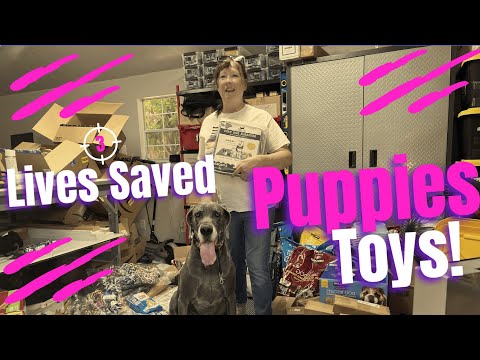 Saving 3 Lives! Sold Thousands of Toys For Charity! #tacosforthepuppies #toys  #givingback #love