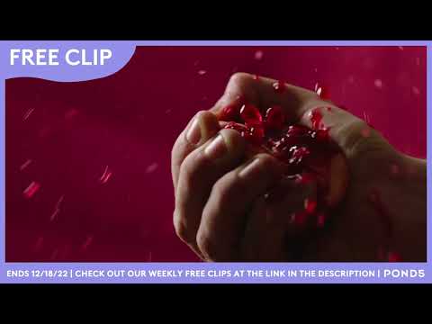 Free Clip - Color Of The Year