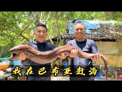 Indonesia Papua: Raja Ampat is full of big goods, and the captain is stunned by any whole moray eel