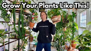 12 Reasons my Indoor Plants look GREAT - Crash Course for Happy Houseplants