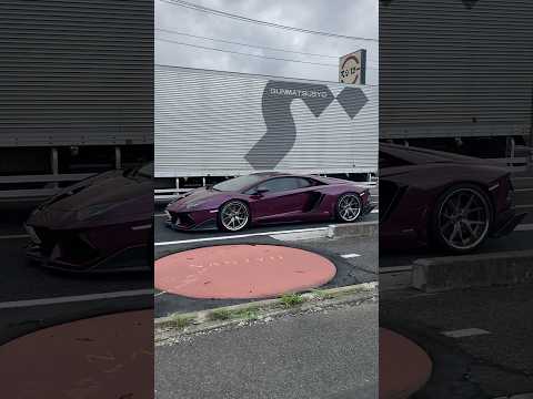 【圧倒的】曇り空に現れたランボルギーニアヴェンタドール / Lamborghini Aventador #lamborghini #ランボルギーニ #スーパーカー #車  #aventador