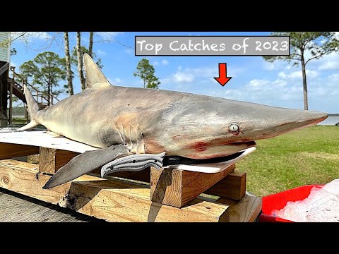 TOP 5 Fishing Moments of 2023!... [Big, Toothy Creatures]