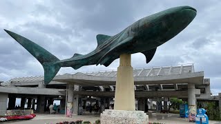 OKINAWA DAY2（下）海洋博公園、美麗海水族館