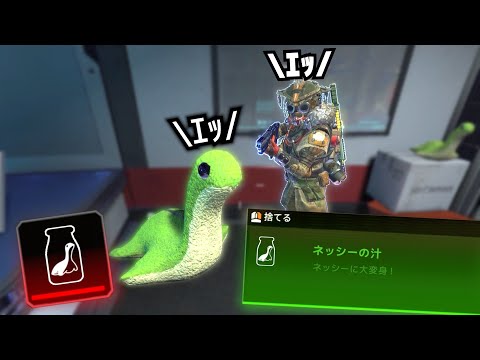 「ネッシーの汁」で遊ぶ可愛い野良さん【APEX】