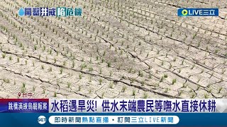 好"乾"尬! 種水稻遇旱災 供水末端農民等嘸水直接休耕 霧峰農田也缺水! 農民自費20萬鑿井取水 鑿井恐致地層下陷? 專家:取決是否砂質地│【LIVE大現場】20230321│三立新聞台