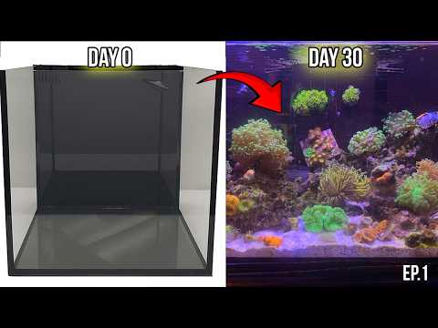 The Secret To Cycling A Reef Tank