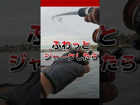 ショアジギング ワンピッチジャークをフワッとしたら #fishing #ショアジギングロッド