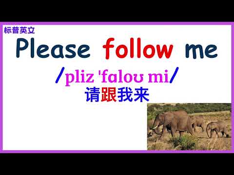 18個單詞和口語 帶圖片和音標 標普英文 Please follow me.