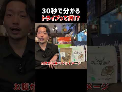 犬のスーパーフード「トライプ」とは？