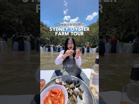 SYDNEY OYSTER FARM TOUR 🦪🥂🥰 #sydneyfood #sydney #oysters #oysterfarming