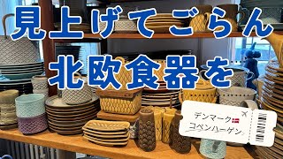 【デンマーク🇩🇰コペンハーゲン】北欧食器旅③再訪蚤の市andアンティークショップ✨新たなデンマークデザイン🇩🇰の物がまとめて買えるお店まで