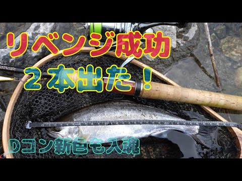 本流アメゴ(アマゴ)  リベンジに行って来た！