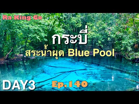 Pond pool, emerald pool, blue water in the middle of the forest The only one in Krabi | Ep.140