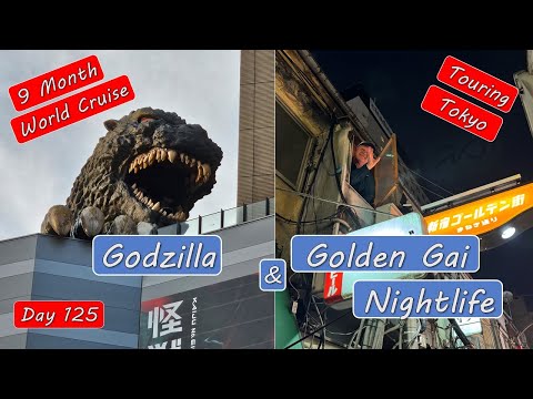 Touring Tokyo, Shinjuku, and Golden Gai Nightlife Area and Godzilla Hotel