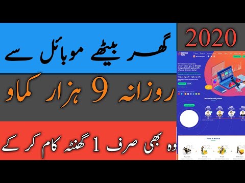 How to earn money online in pakistan ||earn daily 80$ to 90$ ||switchxfund reviews