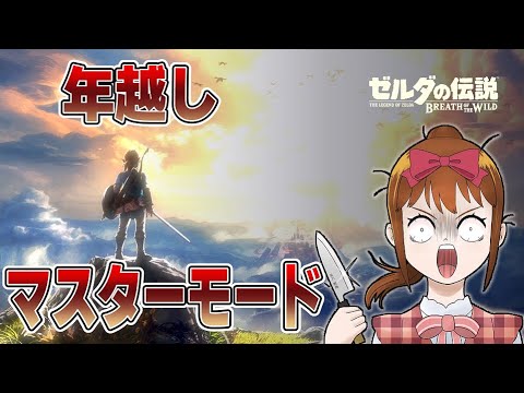 【年越し】ゼルダの伝説　ブレスオブザワイルド【マスターモード】