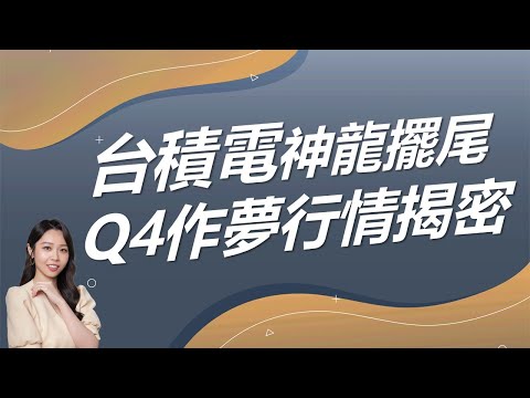 台積電神龍擺尾 Q4作夢行情揭密，每天下午四點 盤後資訊一把抓! ｜豐學PRIME盤後精選整理 2024.12.2