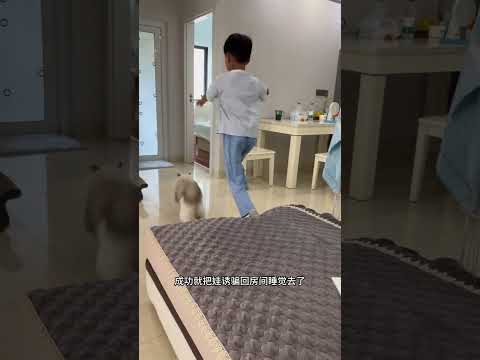 一猫在手，万事不愁，有娃没猫的赶紧入了… #猫和孩子 #萌娃和萌宠