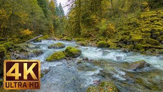 Beautiful Nature Video in 4K (Ultra HD) - Autumn River Sounds - 5 Hours Long