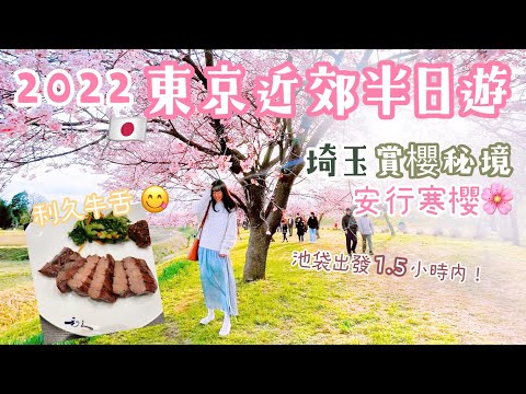 2022 Cherry Blossoms in the suburbs of Tokyo🌸 Lijiu Beef Tongue｜Convenience Stores｜Japan VLOG