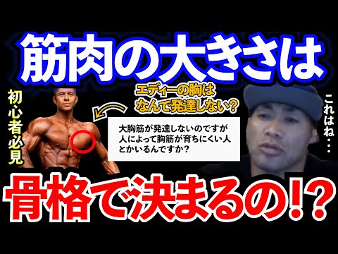 【Q&A】【山岸秀匡】【初心者必見】人【骨格】によって筋肉の発達具合が変わるの！？