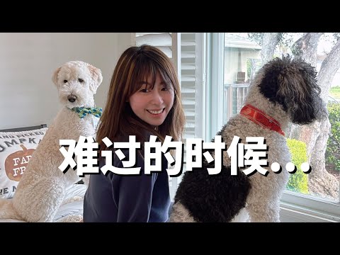 不开心值得分享吗？读你的留言, 让我开心多了 Watch this when you feel sad and stuck