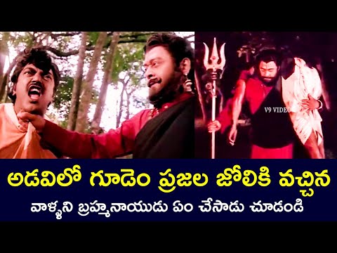 WHAT DID BRAHMANAIDU DO TO THOSE WHO WANTED TO HARM THE FOREST PEOPLE | KRISHNAMRAJU | V9 VIDEOS