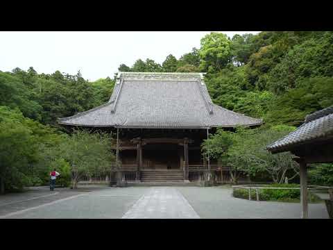 Stroll through Seaside shrine and temple town "Kamakura" 【4K Japan】