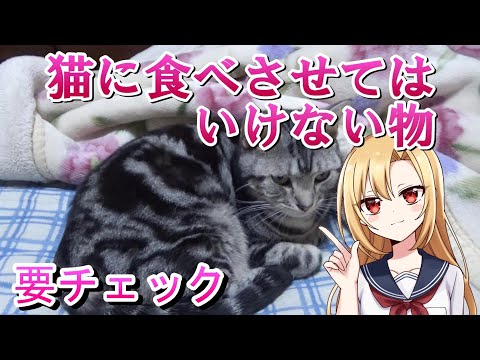 猫に食べさせてはいけない物！食べてしまった場合！（猫雑学）