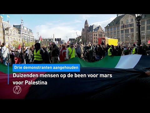 Duizenden mensen op de been voor mars voor Palestina | Hart van Nederland