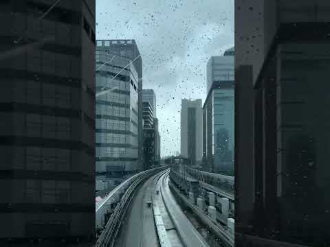 【4K】雨のゆりかもめ-Yurikamome, Rainy day-