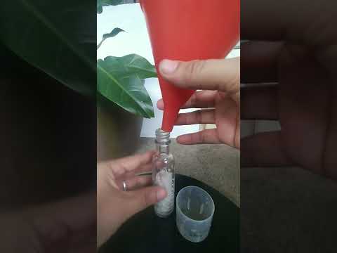 Relaxing Japanese Bamboo Propagation in Water Using Recycled Katinko Bottle #shorts #ASMR