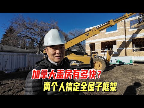 埃德蒙顿冬季盖房实录，三周时间，两套房的框架就搭建好了！｜加拿大盖房