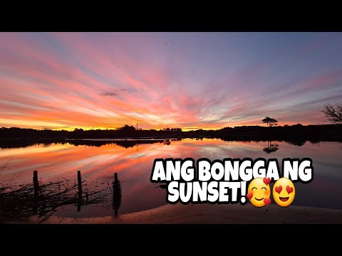 ANOTHER STUNNING SUNSET | LIFE IN A DAY