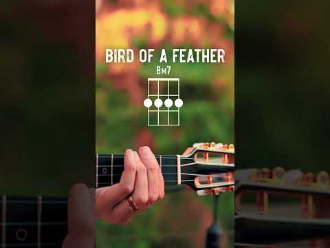 Birds Of A Feather Billie Eilish Ukulele Tutorial // Birds Of A Feather Ukulele Lesson