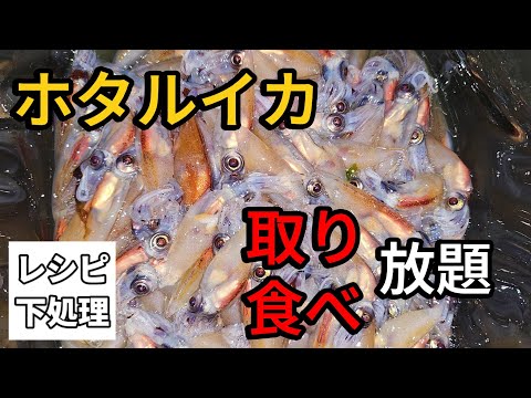 富山県民がオススメするホタルイカの下処理と食べ方レシピ　身投げで掬い放題で作る最高料理