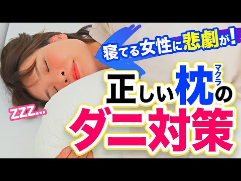 【衝撃映像】『女性のまくらにダニ２０万匹！？』まくらのダニを見たら寝れなくなります！