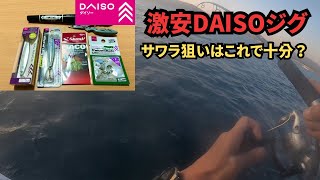 【激安DAISOジグ】サワラ・サゴシのシラスパターン攻略