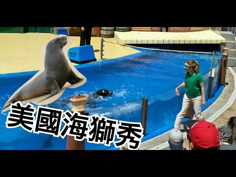 《美國海洋公園》海獅表演秀