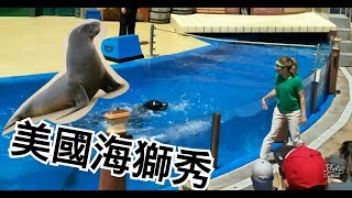 《美國海洋公園》海獅表演秀