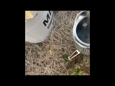 【火力発電】BioLite CampStove2+を使ってみたら…