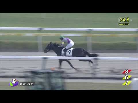 2022/10/22　ストリンジェンド　未勝利戦