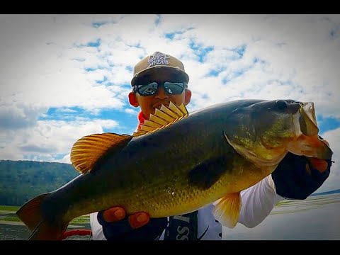 アラバマに往年の琵琶湖があった！？