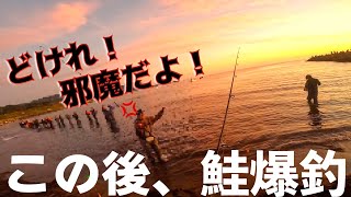 【鮭釣りトラブル】めっちゃ怒られたけど、めっちゃ釣れたｗｗ【道北遠征DAY2】