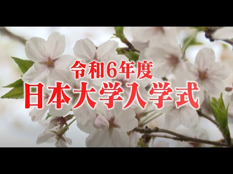 令和6年度日本大学入学式（総集編）