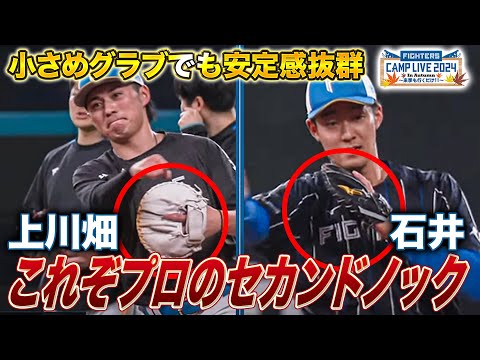 【安定感】ずっと見ていられる名手・上川畑大悟＆石井一成セカンドノック解説＜11/8ファイターズ秋季キャンプ2024＞