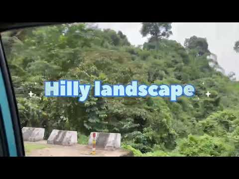 Incredible North east( Nagaland /tea garden/hilly landscape/ethinic food/Ao tribe)