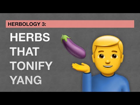 Herbs 3 Review: Herbs that Tonify Yang