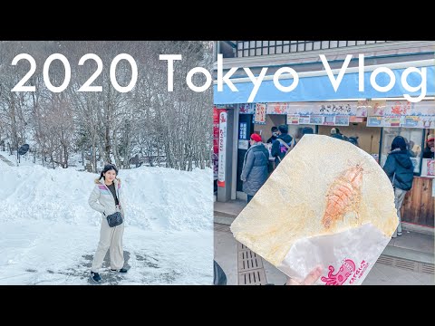 2020 Tokyo Vlog#2 | 日光、鎌倉、江之島一日遊 | Ella Lin